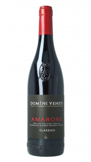 AMARONE CLASSICO 2021 75cl 13.5% - Domini Veneti